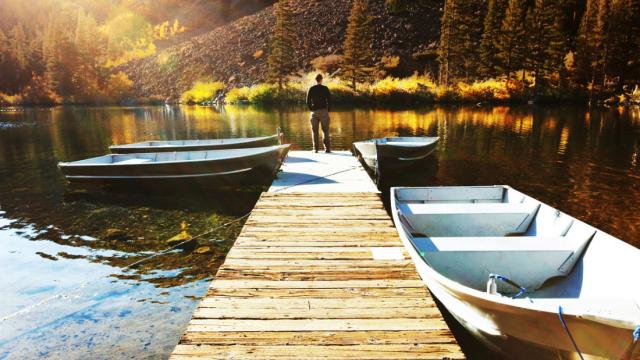 man on a dock with paddles boats