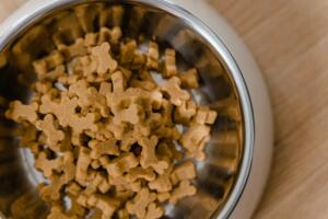 Pet essentials: dog food