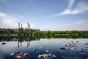 Lake trash clean up