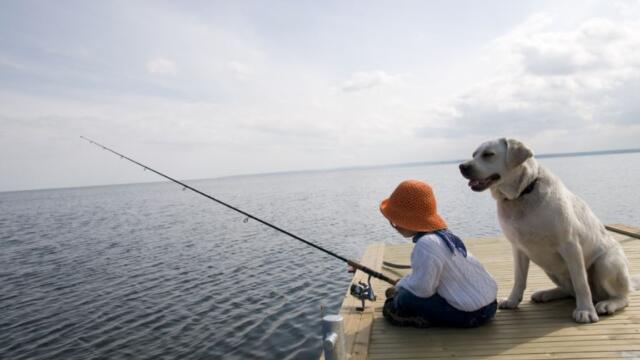 Boy fishing with his dog on a dock
