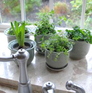 Indoor herb garden