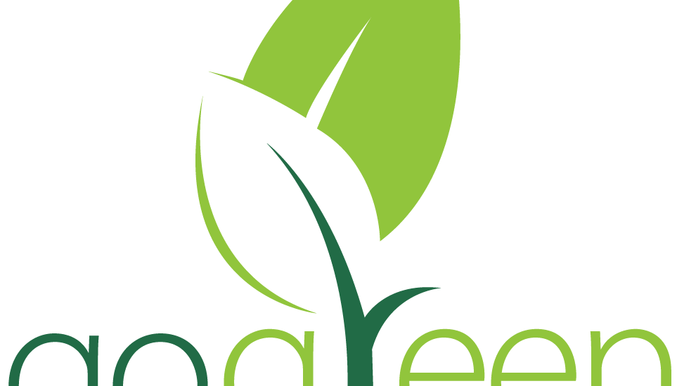 5 Simple Ways to Go Green