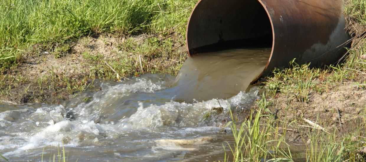 Keeping Your Lake Safe From Harmful Chemicals