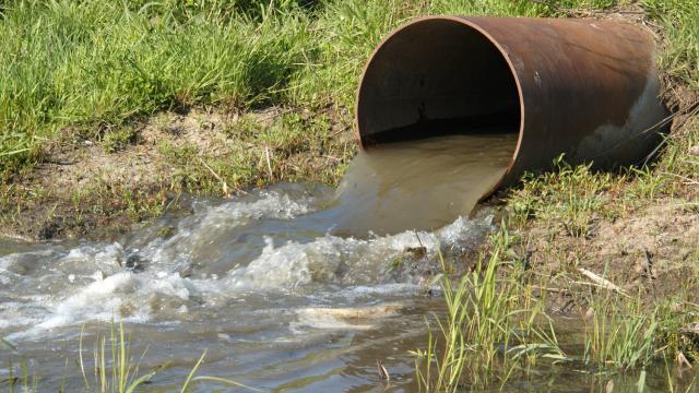 Keeping Your Lake Safe From Harmful Chemicals