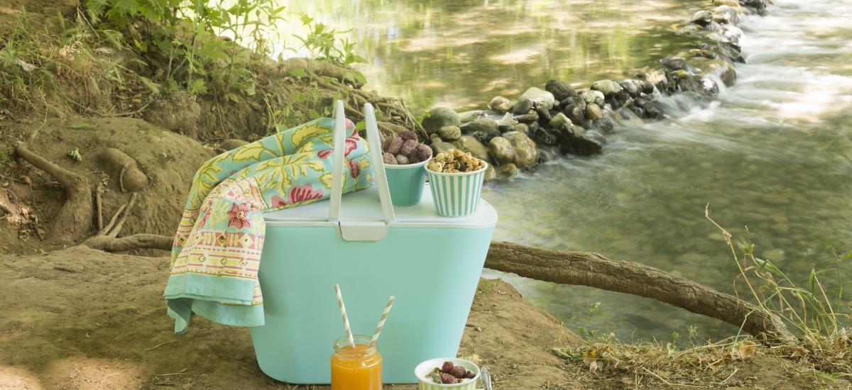 Lake Fun: How to Pack the Perfect Picnic