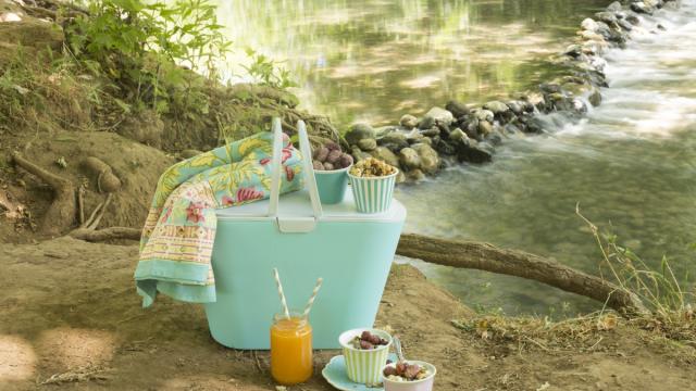 Lake Fun: How to Pack the Perfect Picnic