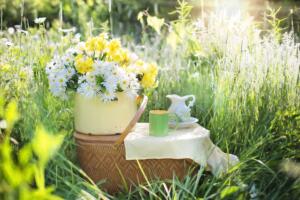 Picnic basket