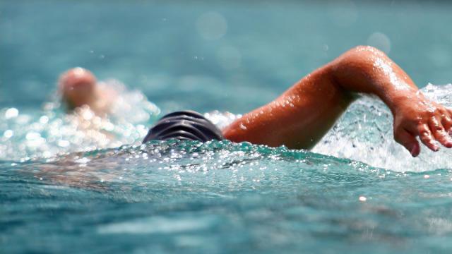 swimming technique performed in a lake