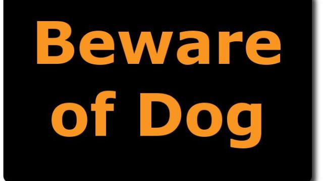 Protect Your Dog at the Lake Home with an Invisible Fence