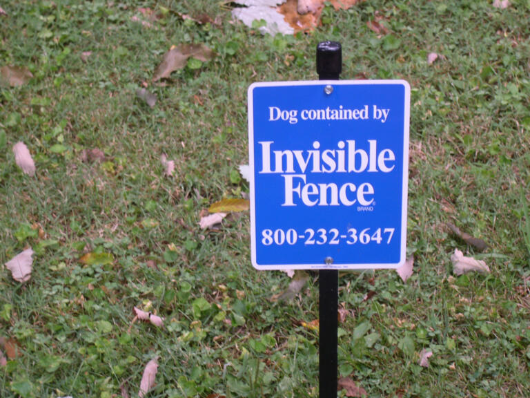Protect Your Dog at the Lake Home with an Invisible Fence