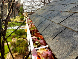 gutters with leaves in them