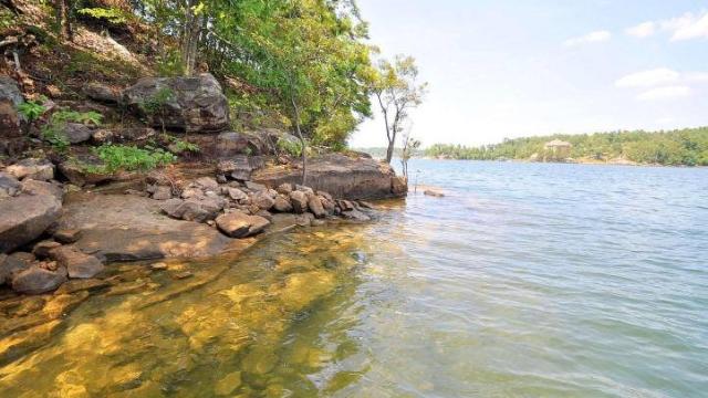 Shoreline view of Smith Lake