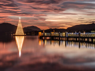 lighted christmas tree on the water at sunset