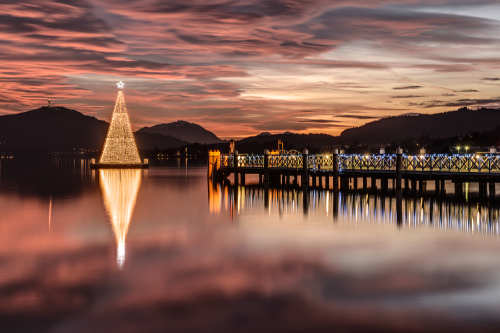 lighted christmas tree on the water at sunset
