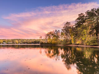 Lake Hamilton