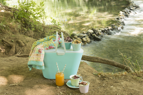 picnic basket and blanket by the lake