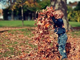 little boy playing in leaves