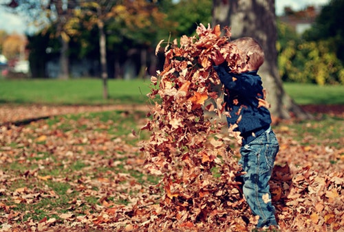 little boy playing in leaves