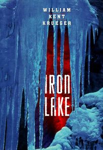 book cover of Iron Lake