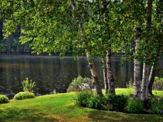 A luscious lawn in the summer starts with proper care in the spring. Check out these tips on how to prep your lawn for lake season!