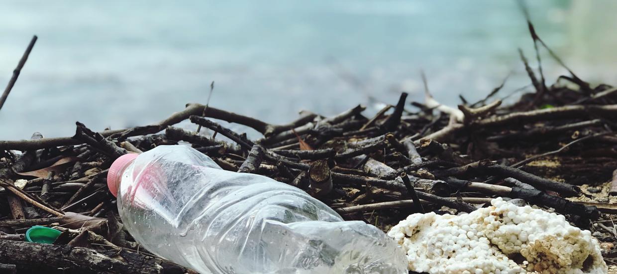 Lake Clean-up Events Near You!