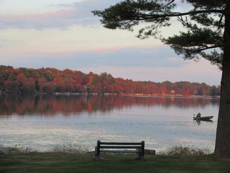 Top 5 Lake Areas to View the Best Fall Foliage