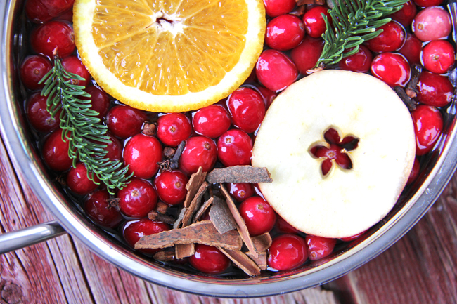 Christmas stove potpourri