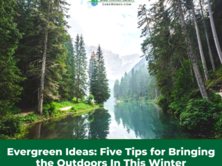 Evergreen trees on lake