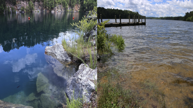 The Science Behind Clear and Murky Lakes