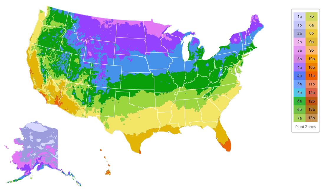A Guide to Plant Hardiness at Your Lake Home Zones 13