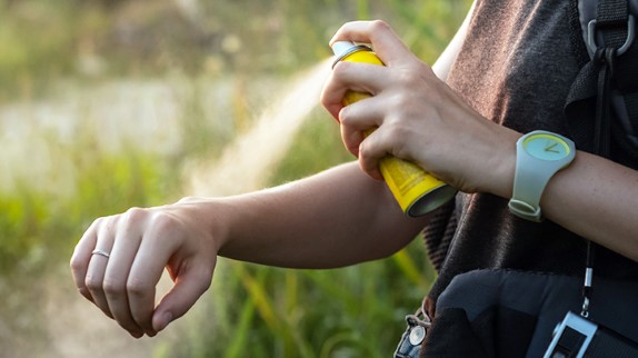 Things You Need to Know About Bug Spray