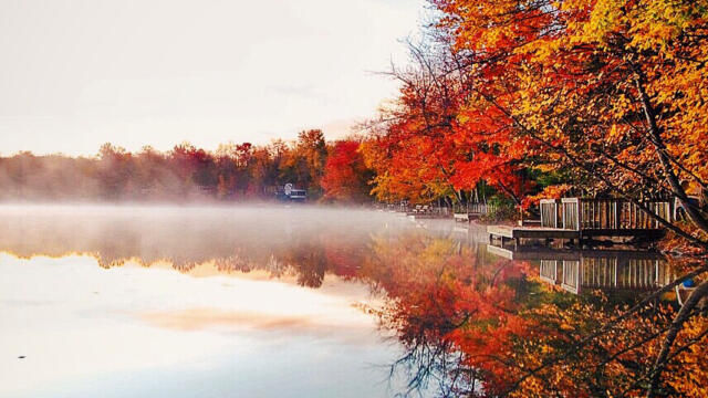 This Season’s Staycation: A Regional Guide to Fall Leaves