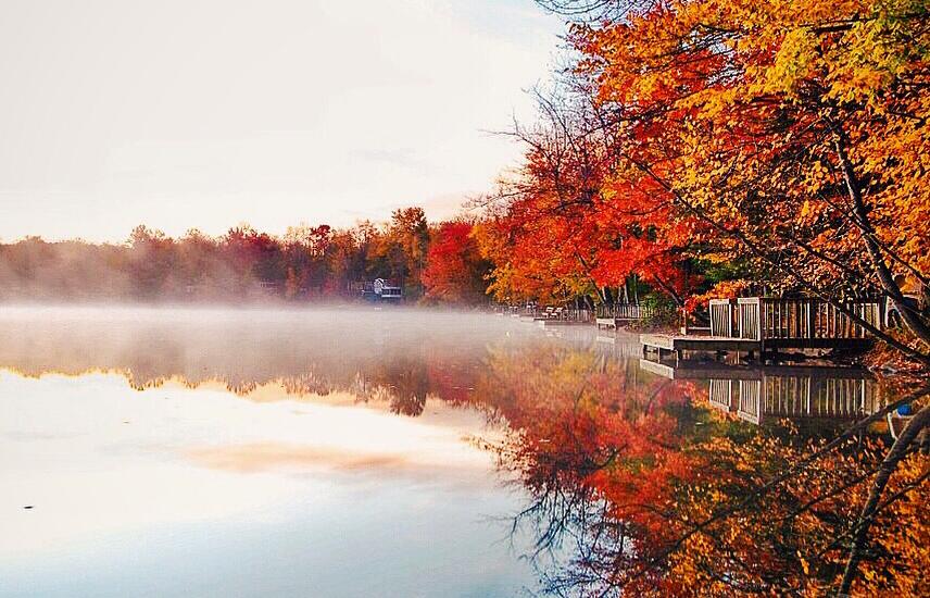 This Season’s Staycation: A Regional Guide to Fall Leaves