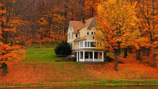 Fall home curb appeal