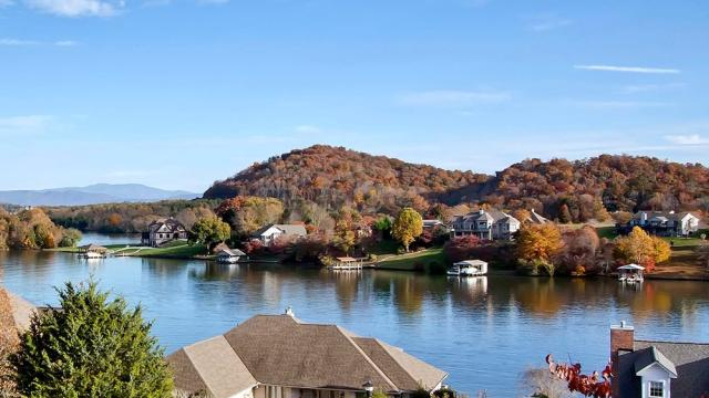 The Pros and Cons of Suburban and Community Lakes