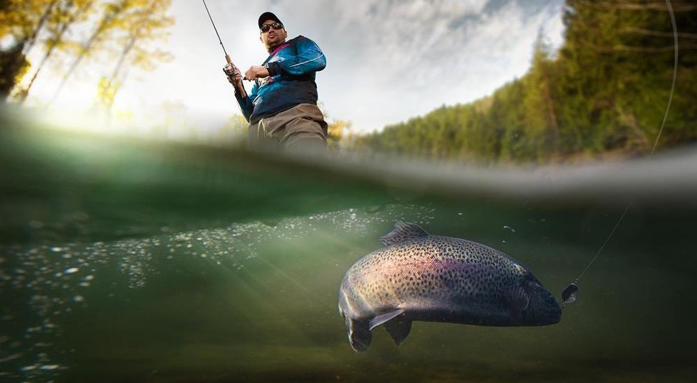Largest Record-Breaking Fish By Species