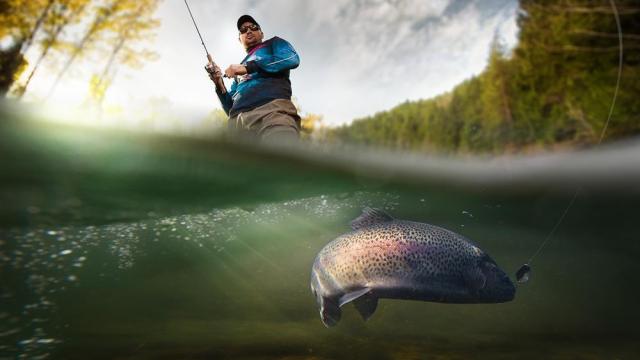 Largest Record-Breaking Fish By Species