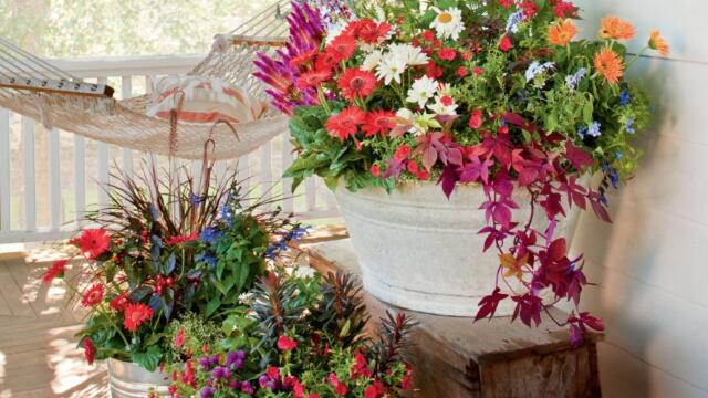 Deck Out Your Dock: Container Gardening at the Lake