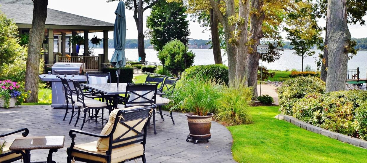 Best Trees to Plant at the Lake