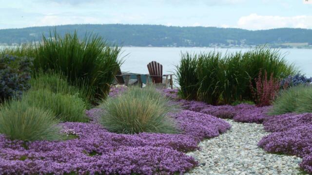Xeriscaping Basics: Creating a Water-Wise Lake Landscape