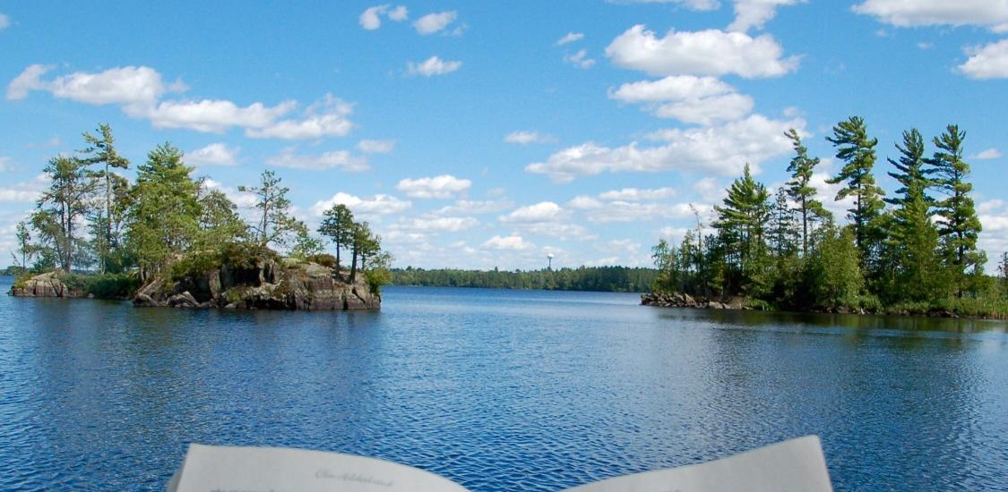 Waterproofing Your Books at the Lake