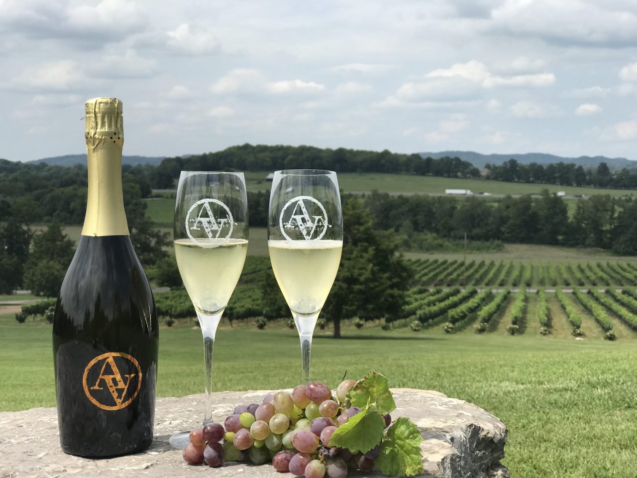 Top Vineyards Around Nashville’s Lakes