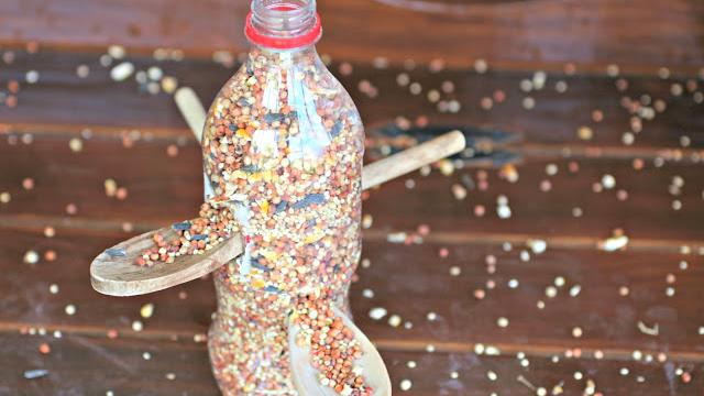 DIY Bird Feeders