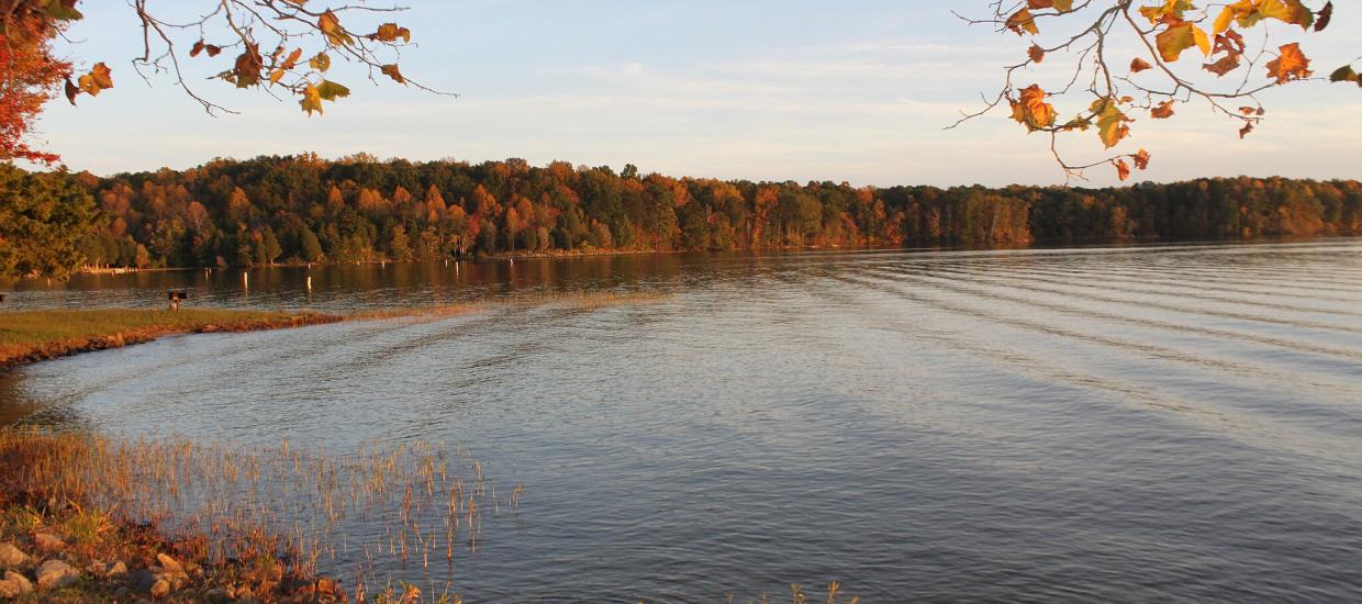 5 Facts About Lake Anna