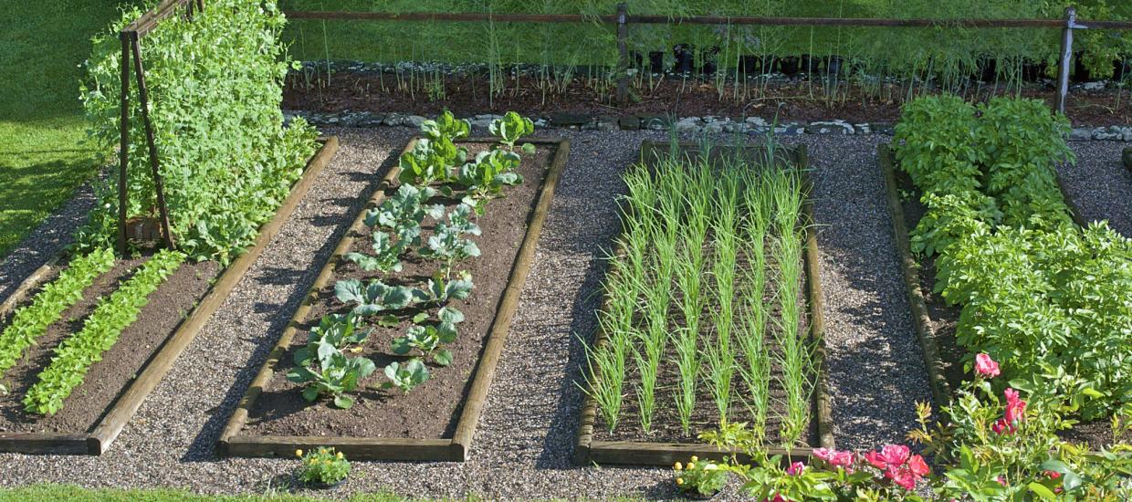 How to Make a Raised Garden Bed