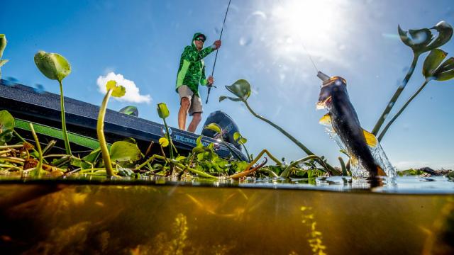 How to Fish in New Water