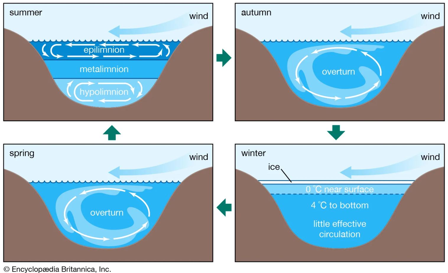 The Science Behind Lake Stratification