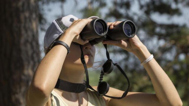Best Binoculars for 2022