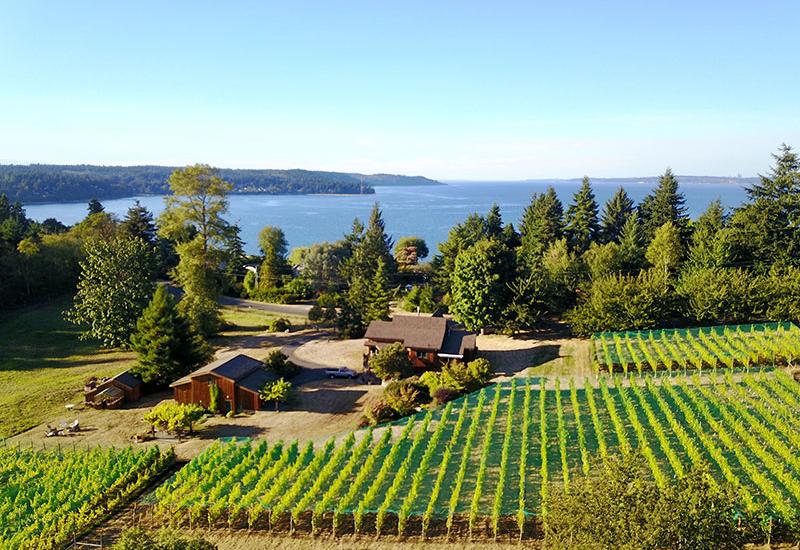 Top Wineries Near Puget Sound, WA