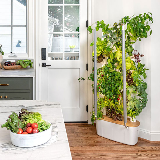 My Gardyn indoor gardening system inside kitchen, showcasing an array of vegetables and herbs. 